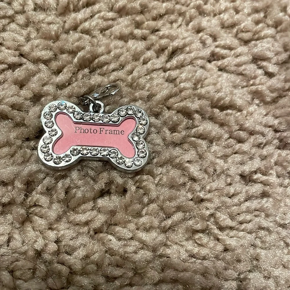 Picture ID Tag for pets